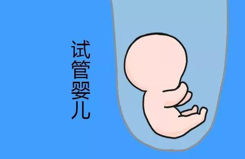 万级层流胚胎实验室
