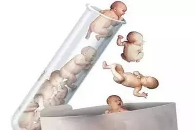 关于素竹生殖